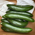 Asian Cucumber