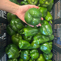 Bell Pepper