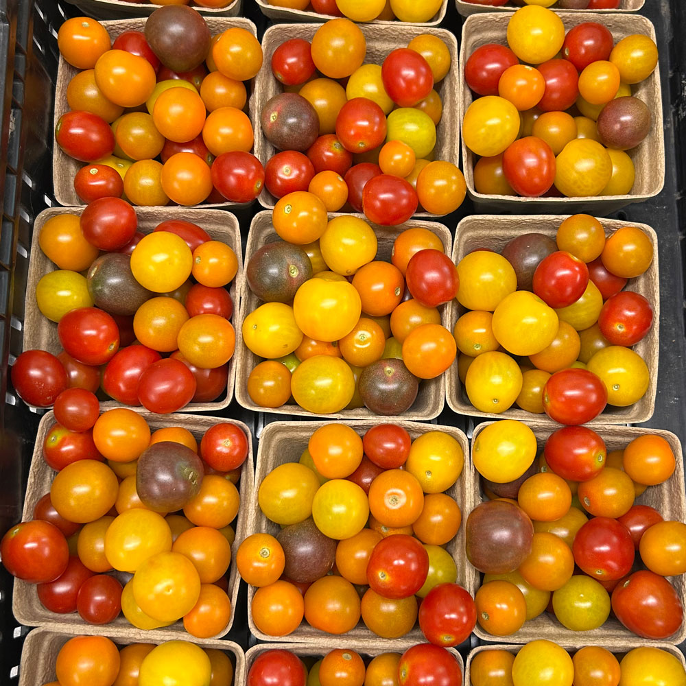 Cherry Tomatoes