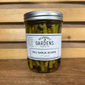 Dill Garlic Scapes