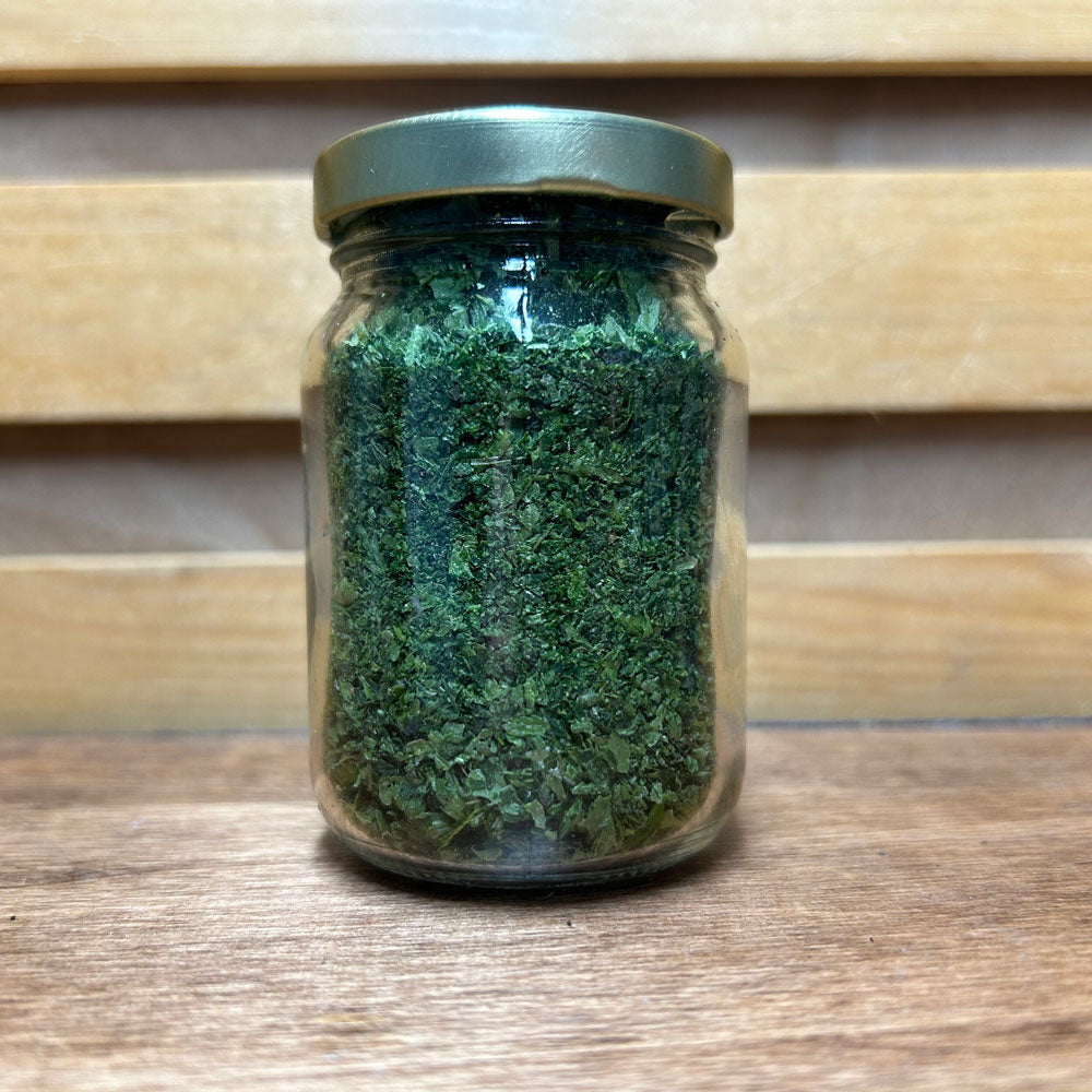 Cilantro
