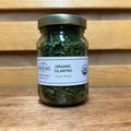 Cilantro