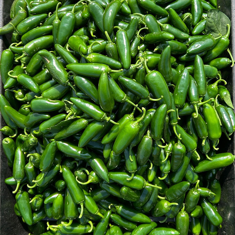 Jalapeños 3 for $1