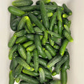 Pickling Cucumber