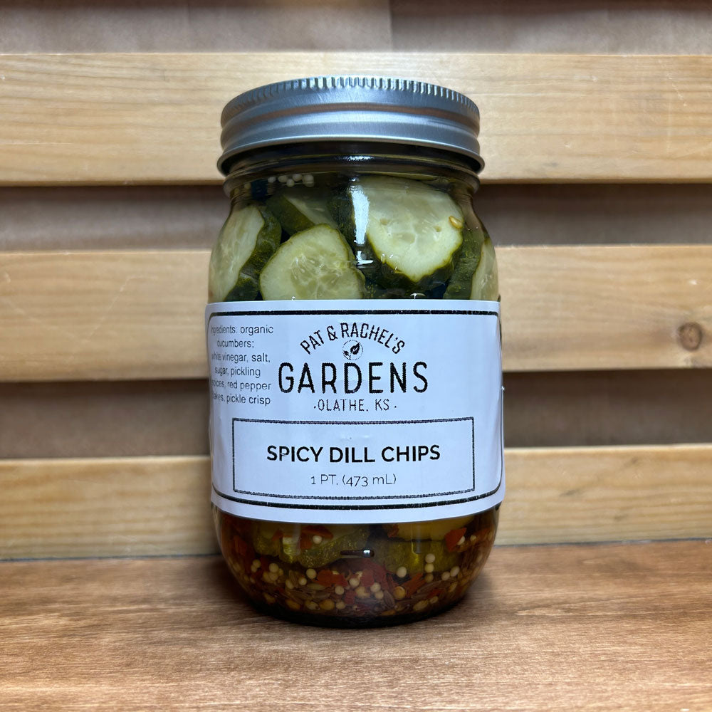 Spicy Dill Chips