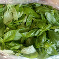 Fresh basil